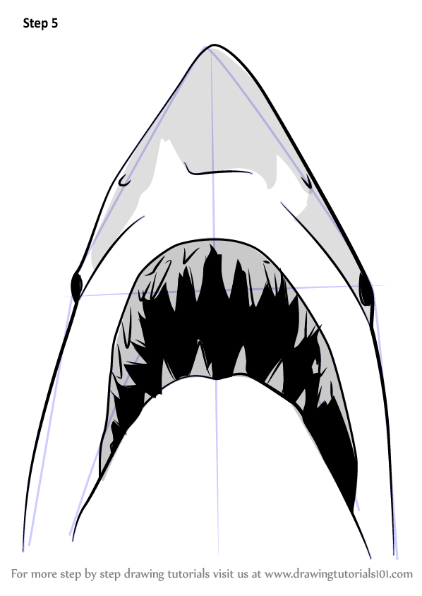 Learn How To Draw Jaws Shark Other Animals Step By Step