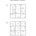 Printable Sudoku Blank Forms Sudoku 9981 Printable