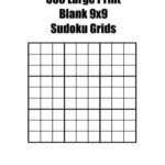 300 Large Print Blank 9x9 Sudoku Grids By Tess Chambers