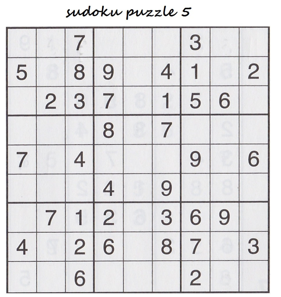Bonggamom Finds The Puzzle Baron S Sudoku And Logic Puzzles